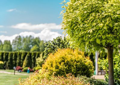 Aménagement avec arbres et buissons(Aménagement paysager Laval) - Entrepeneur général Laval