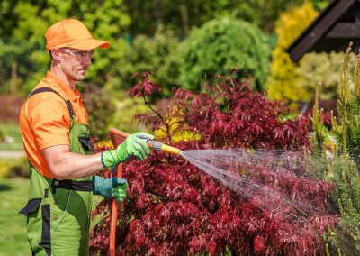 Arrosage-des-plantes (Aménagement paysager Laval) - Entrepeneur général Laval