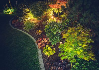 Jardin avec asphalte vu de haut ( Aménagement paysager Laval ) - Entrepreneur général.jpg